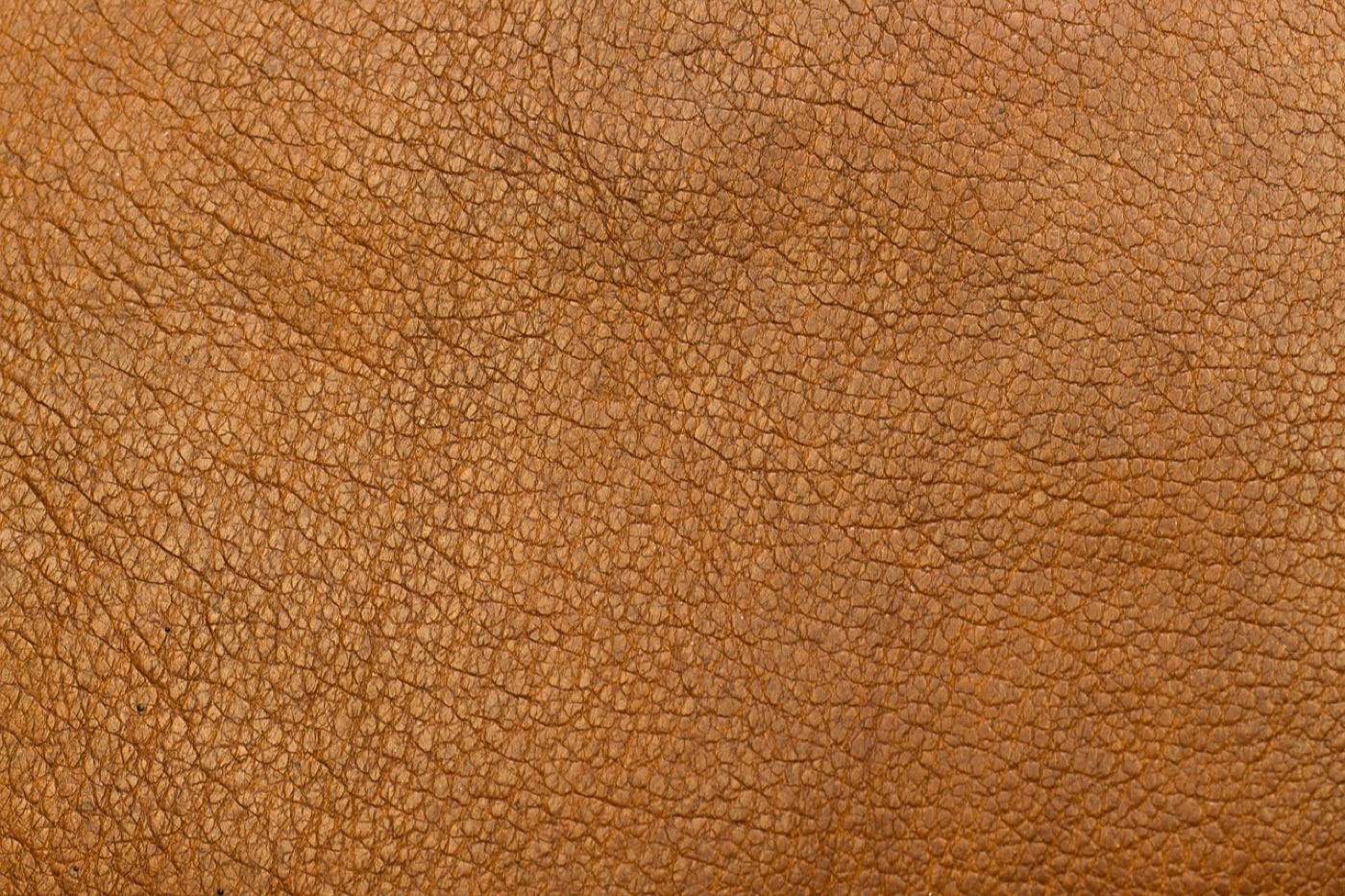 Close-up of full grain leather shoe uppers showing natural grain variation